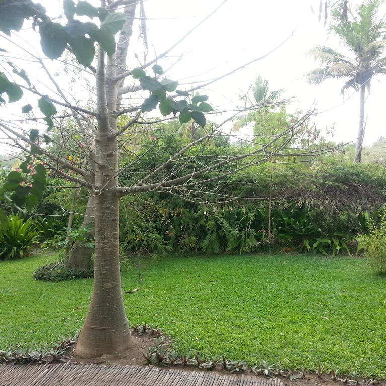 Palmeiras Lodge Vilankulo Exterior foto